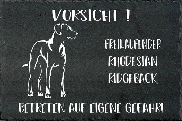 Schieferplatte Rhodesian Ridgeback