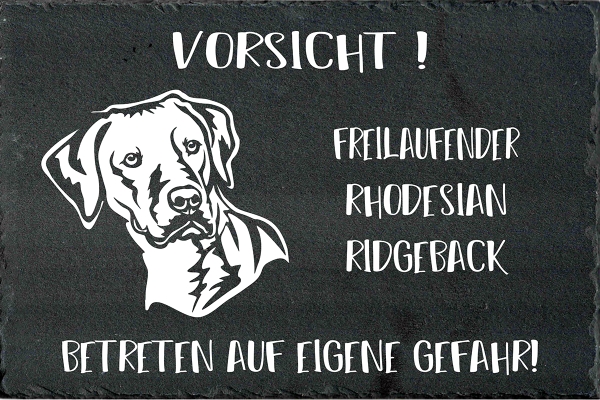 Schieferplatte Rhodesian Ridgeback