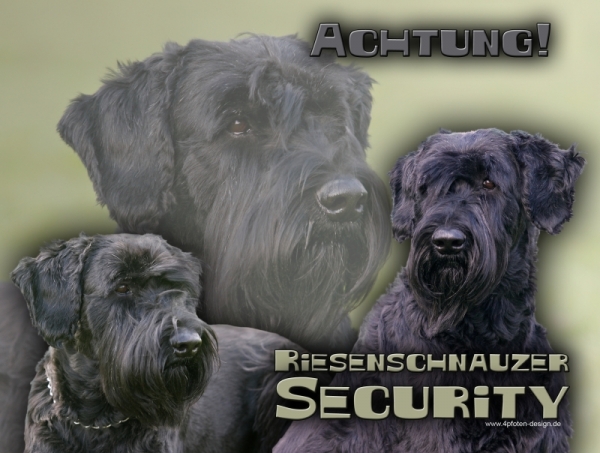 Aluminiumschild Riesenschnauzer