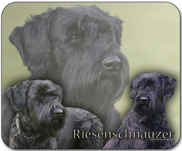 Mousepad Riesenschnauzer