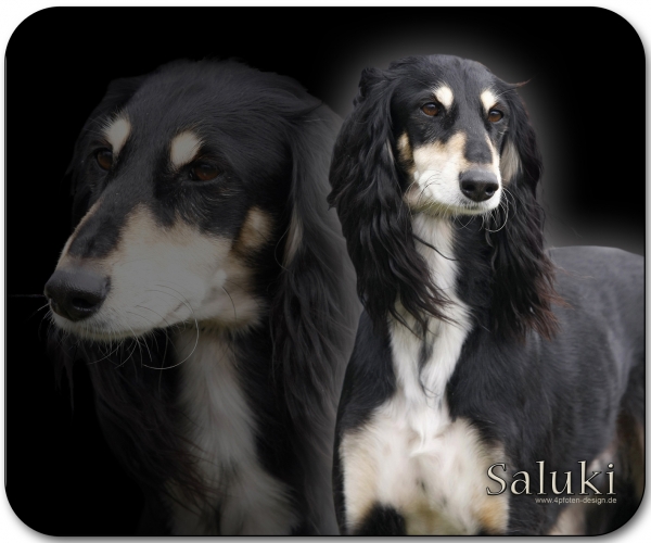 Mousepad Saluki