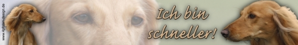 Aufkleber Saluki