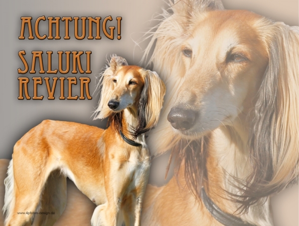 Aluminiumschild Saluki