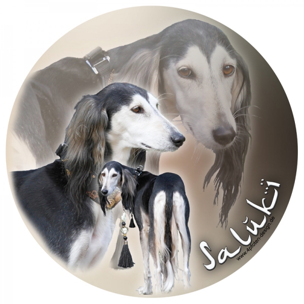 Aufkleber Saluki03 rund