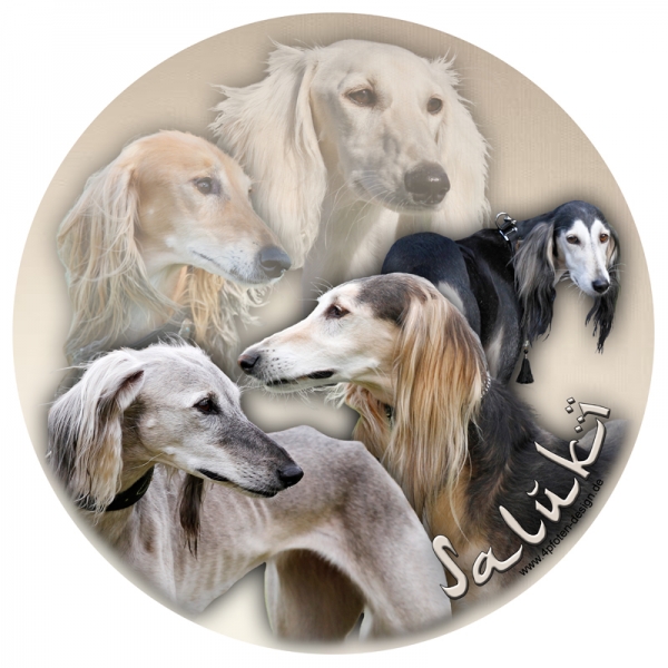 Aufkleber Saluki06 rund