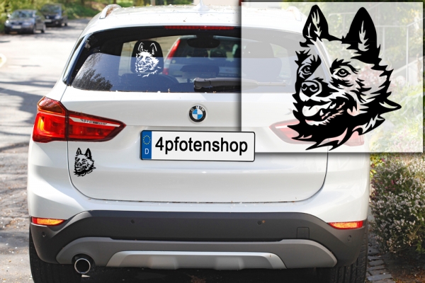 Autoaufkleber "Schipperke" Kopf