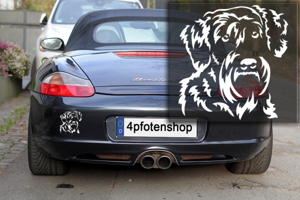 Autoaufkleber "Schnauzer" Kopf