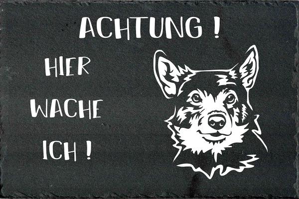 Schieferplatte Schwedischer Wallhund (Westgotenspitz)