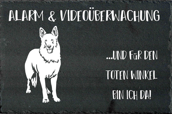 Schieferplatte Schweizer Schäferhund