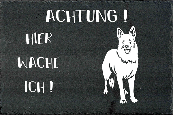 Schieferplatte Schweizer Schäferhund