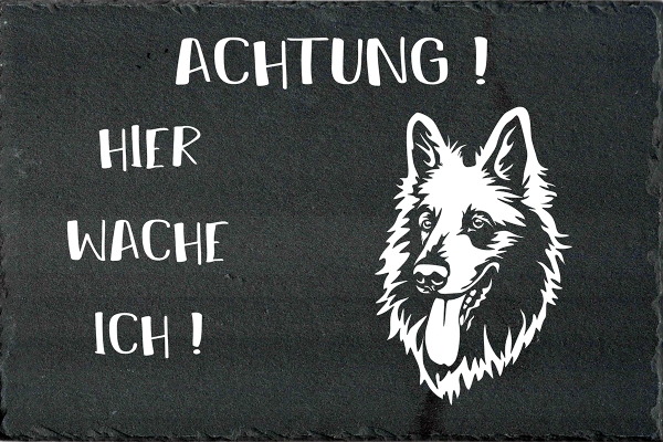 Schieferplatte Schweizer Schäferhund