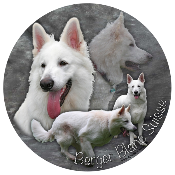 Aufkleber Schweizer Schäferhund 01 rund