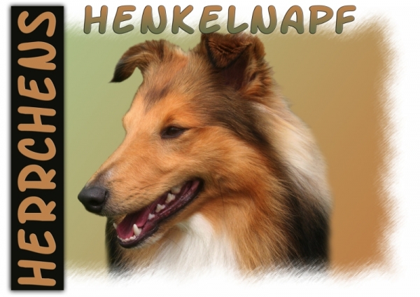 Fototasse Sheltie (Shetland Sheepdog) Herrchen/Frauchen