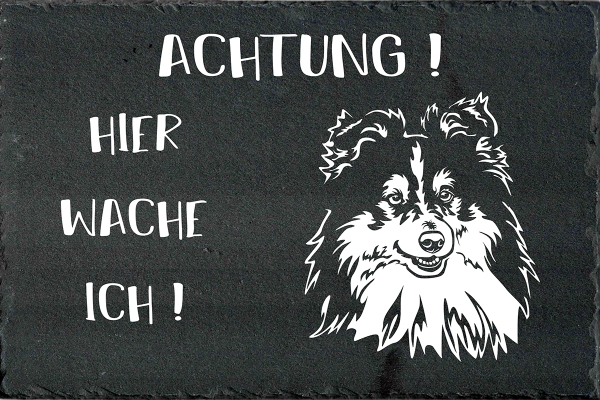 Schieferplatte Sheltie