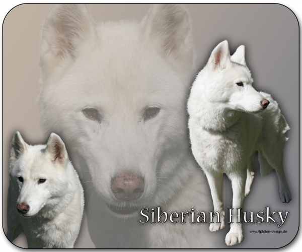 Mousepad Siberian Husky