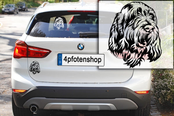 Autoaufkleber "Spinone Italiano" Kopf