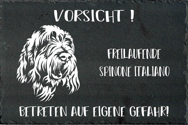 Schieferplatte Spinone Italiano