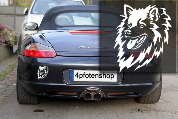 Autoaufkleber "Spitz" Kopf