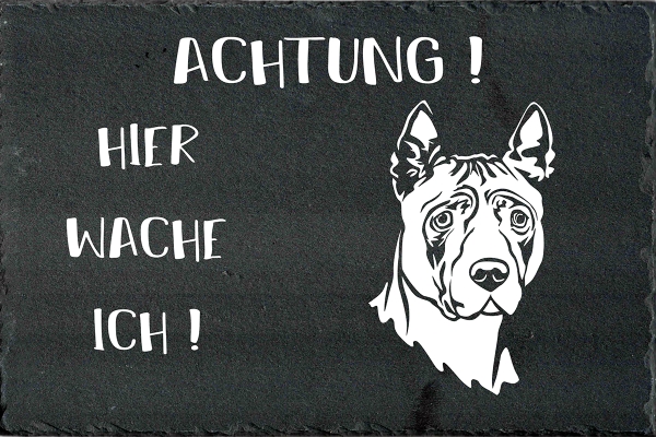 Schieferplatte Thai Ridgeback