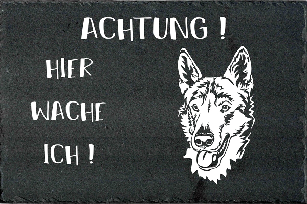 Schieferplatte Tschechoslowakischer Wolfhund