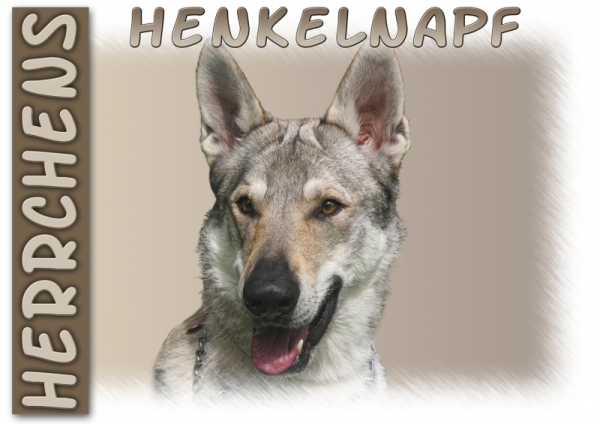 Fototasse Tschechischer Wolfhund