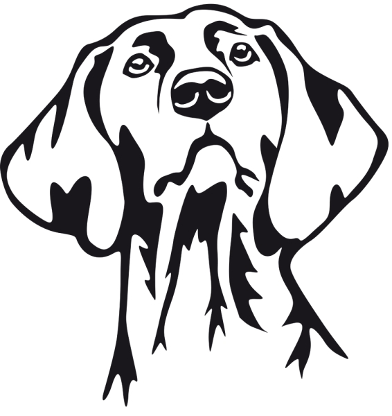 Aufkleber Magyar Vizsla Kopf