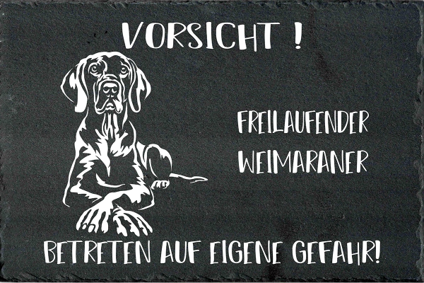 Schieferplatte Weimaraner