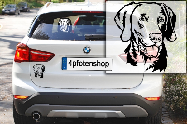 Autoaufkleber "Weimaraner" Kopf