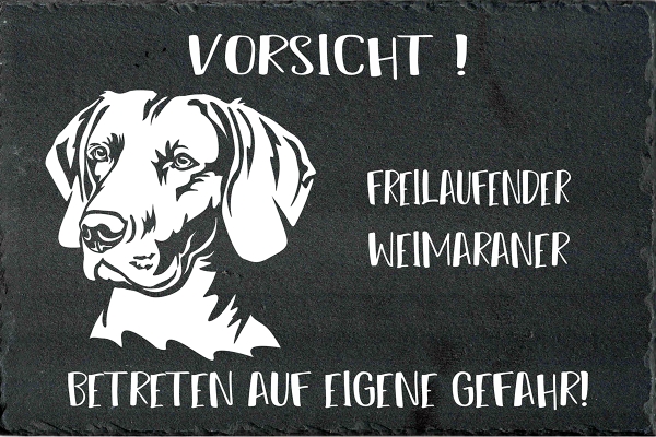 Schieferplatte Weimaraner