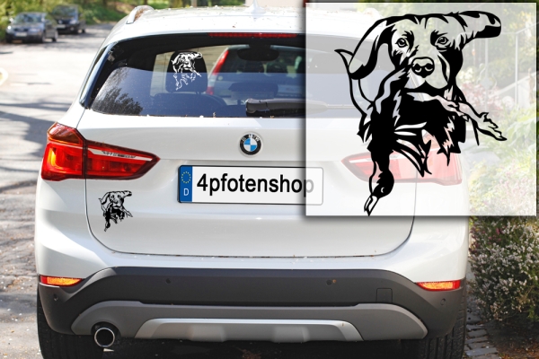 Autoaufkleber "Weimaraner"