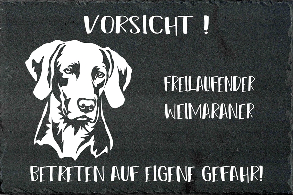 Schieferplatte Weimaraner