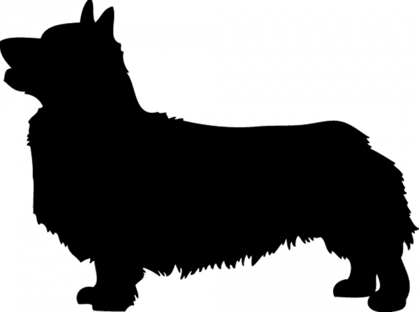 Welsh Corgi stehend Silhouette