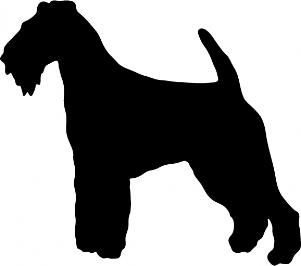 Welsh Terrier stehend Silhouette