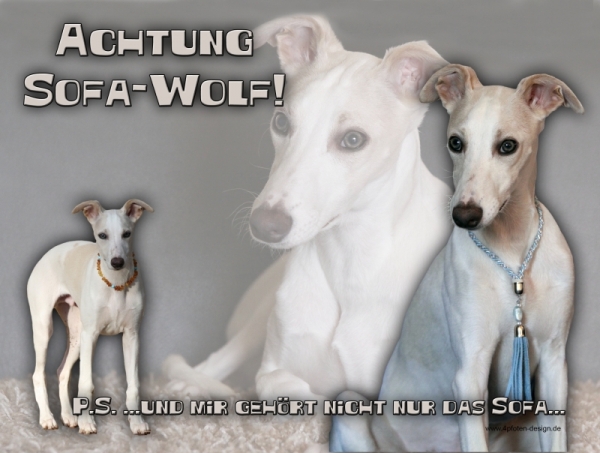 Aluminiumschild Whippet