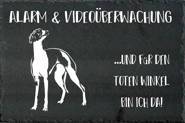 Schieferplatte Whippet