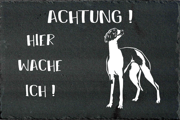 Schieferplatte Whippet