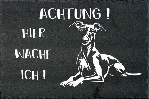 Schieferplatte Whippet