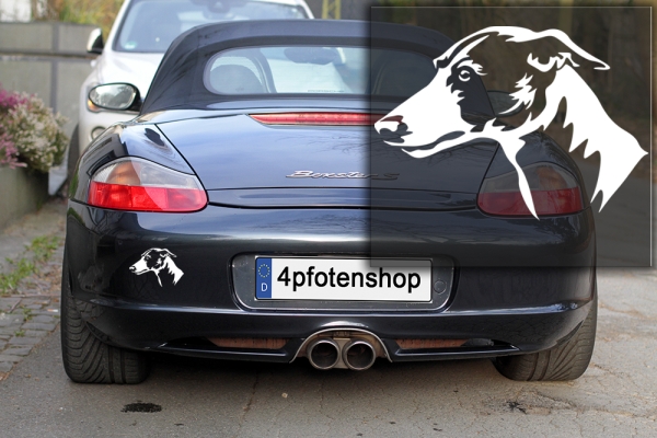 Autoaufkleber "Whippet" Kopf