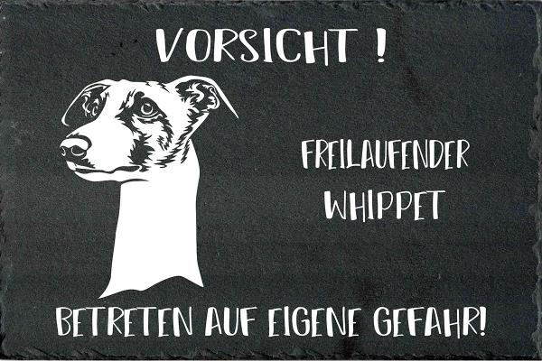 Schieferplatte Whippet