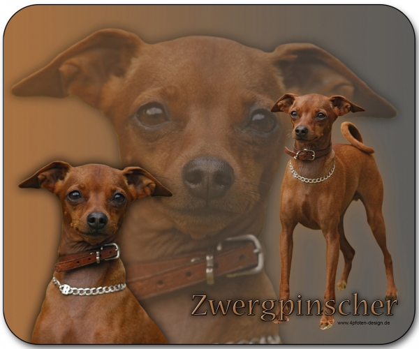 Mousepad Zwergpinscher