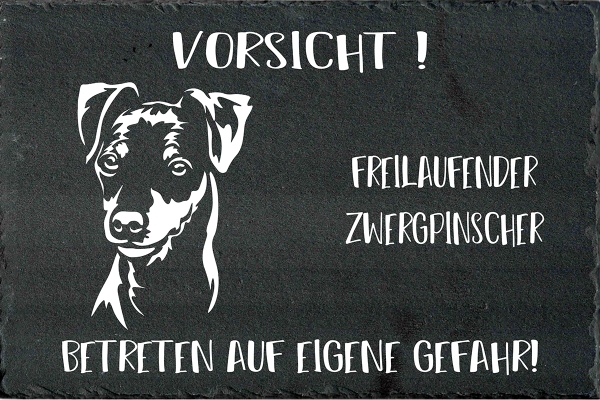 Schieferplatte Zwergpinscher