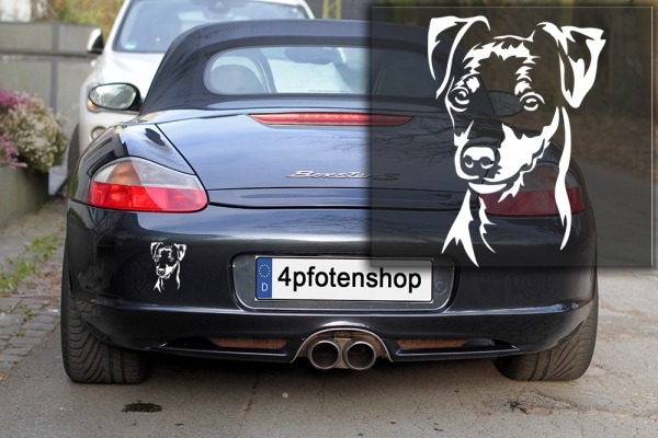 Autoaufkleber "Zwergpinscher" Kopf