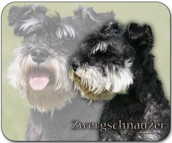 Mousepad Zwergschnauzer