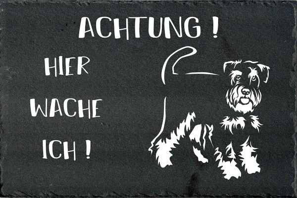 Schieferplatte Zwergschnauzer