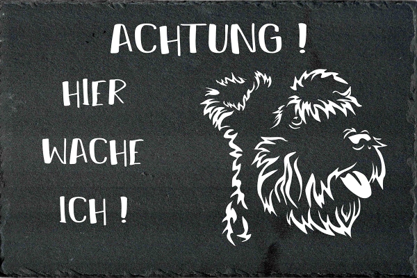 Schieferplatte Zwergschnauzer