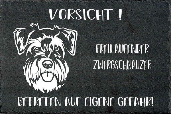 Schieferplatte Zwergschnauzer