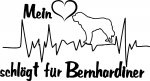 Aufkleber "Mein Herz schlägt für Bernhardiner"