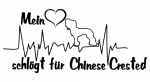 Aufkleber "Mein Herz schlägt für Chinese Crested"