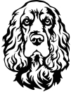 Aufkleber Cocker Spaniel Kopf