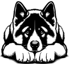 American Akita